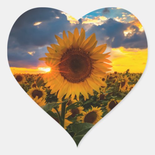 Colorful Sunflowers in a Field Heart Sticker