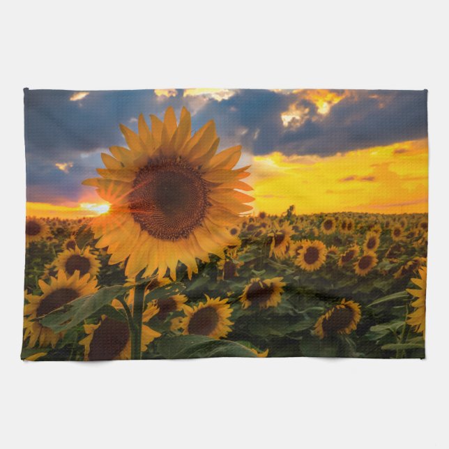 Colorful Sunflowers in a Field Towel (Horizontal)