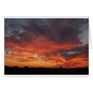 Colorful Sunset Cards