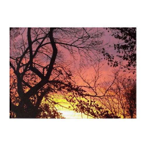 Colorful Sunset Through Bare Trees Acrylic Print