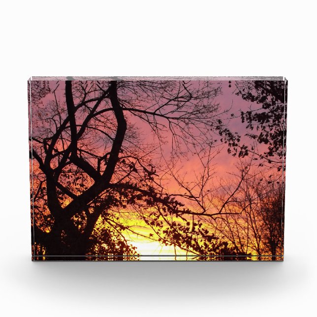 Colorful Sunset Through Bare Trees Photo Block (Front)