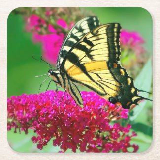 Colorful Swallowtail Butterfly Paper Coaster