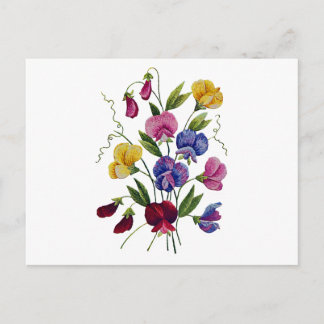 Colorful Sweet Peas Postcard