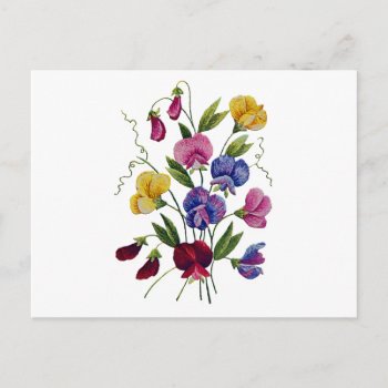 Colorful Sweet Peas Postcard by Crewel_Embroidery at Zazzle