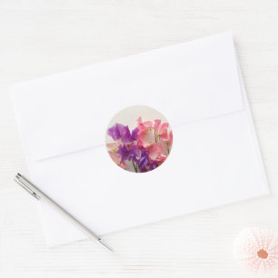 Colorful sweet peas Sticker