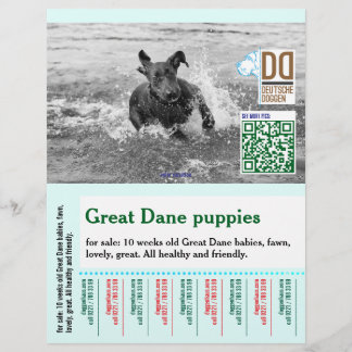Colorful tear off dog flyer 