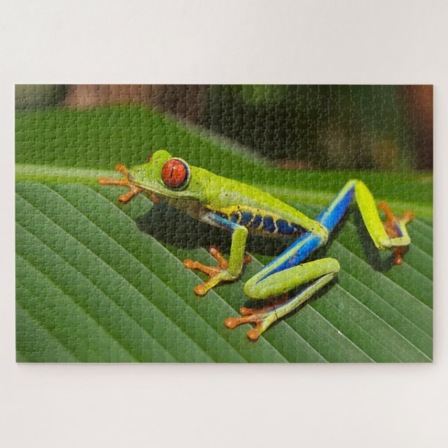 Colorful tiny frog jigsaw puzzle (Horizontal)