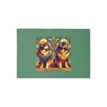 Colorful TM pair Out door rug