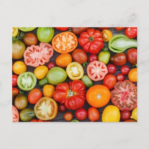 Colorful Tomatoes Postcard