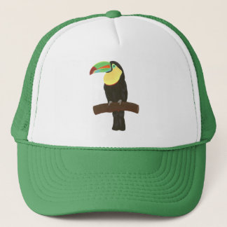 Colorful Toucan Painting on Hats