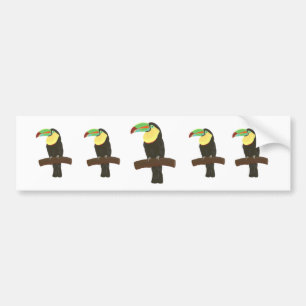Colorful Toucans Painting Bumper Sticker