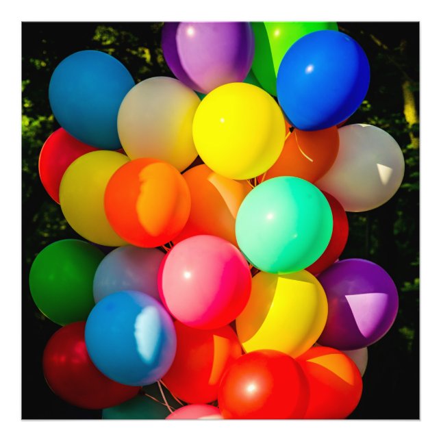 Colorful Toy Balloons Photo Print (Front)