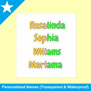 Colorful Transparent Waterproof Kids Name Stickers