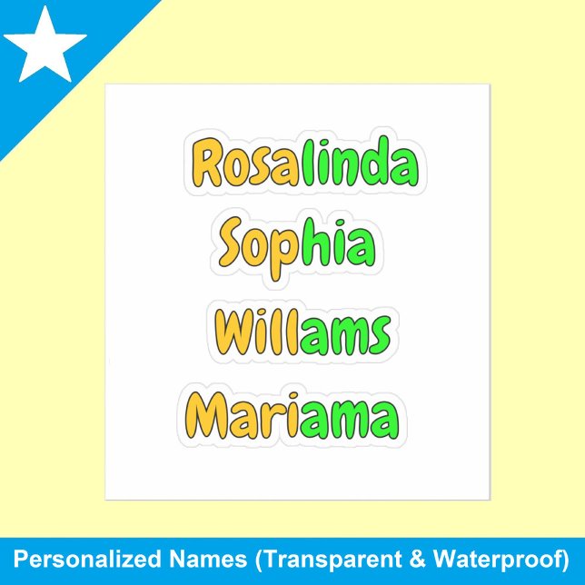 Colorful Transparent Waterproof Kids Name Stickers (Kids name stickers
Waterproof name labels)