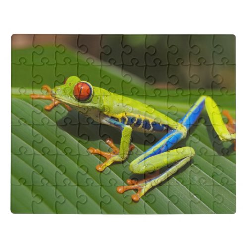 Colorful Tree Frog Jigsaw Puzzle