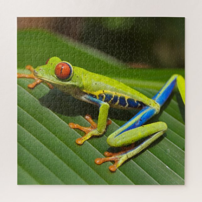 Colorful Tree Frog Jigsaw Puzzle (Vertical)