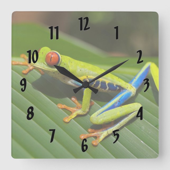 Colorful Tree Frog Square Wall Clock (Front)