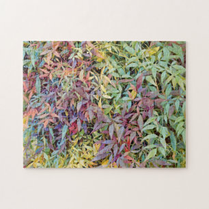 Colorful Tree Leaves Leaf Nature Puzzle