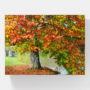 Colorful Tree with Leaves Falling at the Shore Paperweight