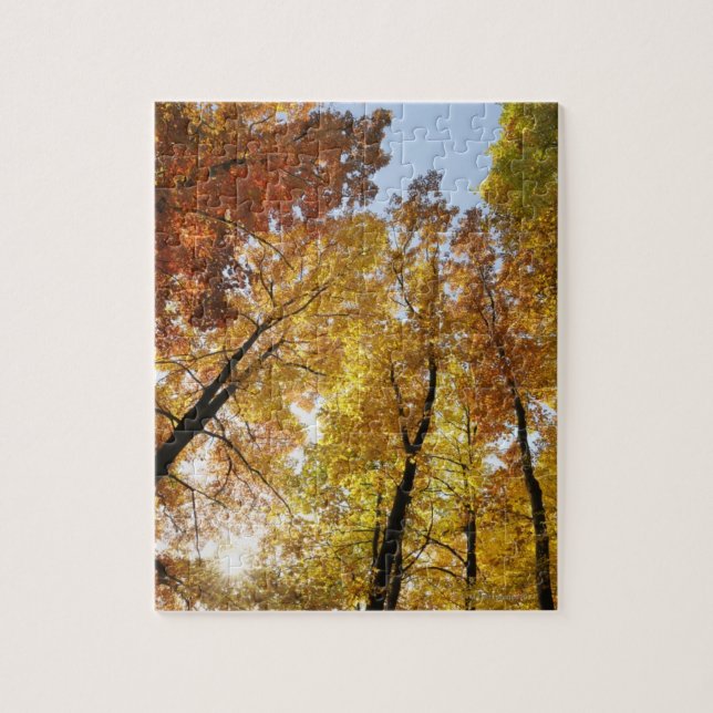Colorful Trees Jigsaw Puzzle (Vertical)