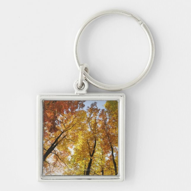 Colorful Trees Keychain (Front)