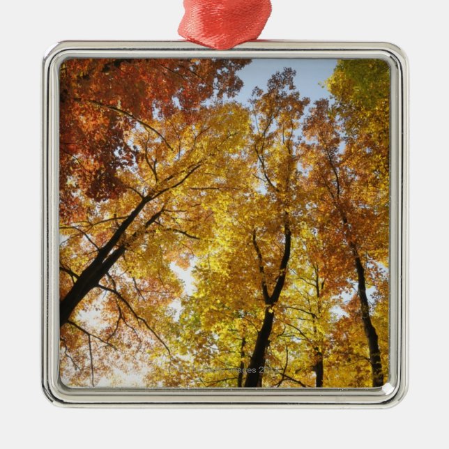 Colorful Trees Metal Ornament (Front)