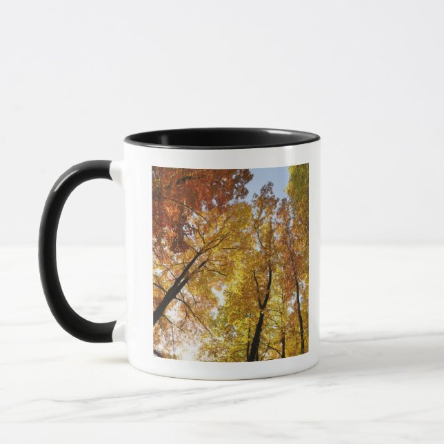 Colorful Trees Mug (Left)