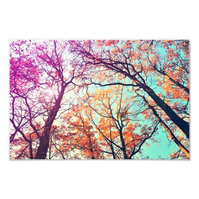 Colorful trees photo print (Front)