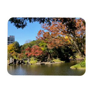 Colorful Trees Scenery at Japanese Garden Magnet