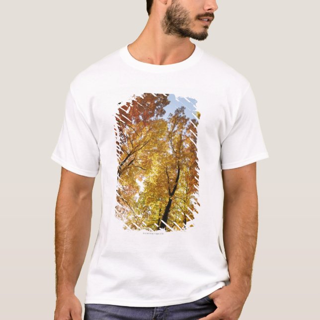 Colorful Trees T-Shirt (Front)
