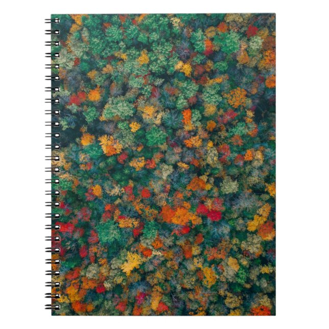 Colorful Treetops Notebook (Front)
