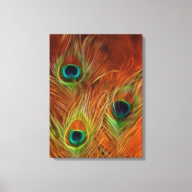 colorful trio peacock feathers wrapped canvas (Front)