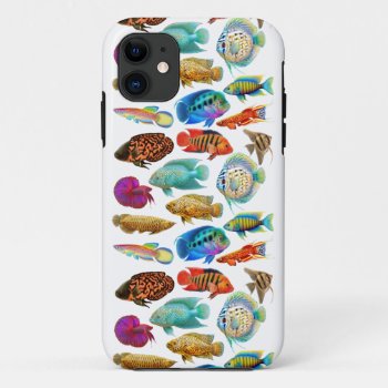 Colorful Tropical Aquarium Fish Iphone Case by TheCasePlace at Zazzle