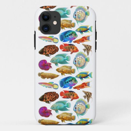 Colorful Tropical Aquarium Fish Iphone Case