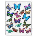Colorful Tropical Butterflies Temporary Tattoo