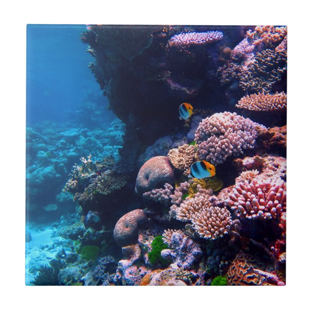 Colorful Tropical Coral Reef Ceramic Tile (Front)