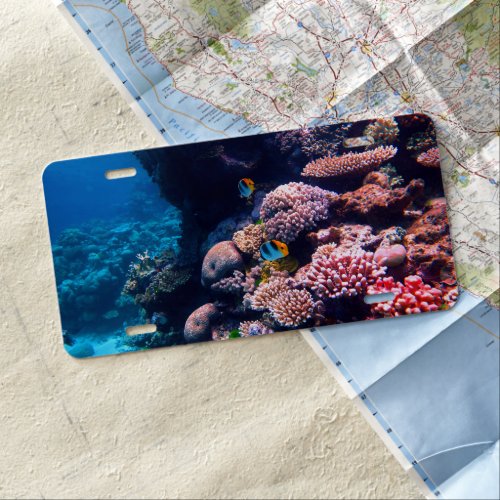 Colorful Tropical Coral Reef License Plate