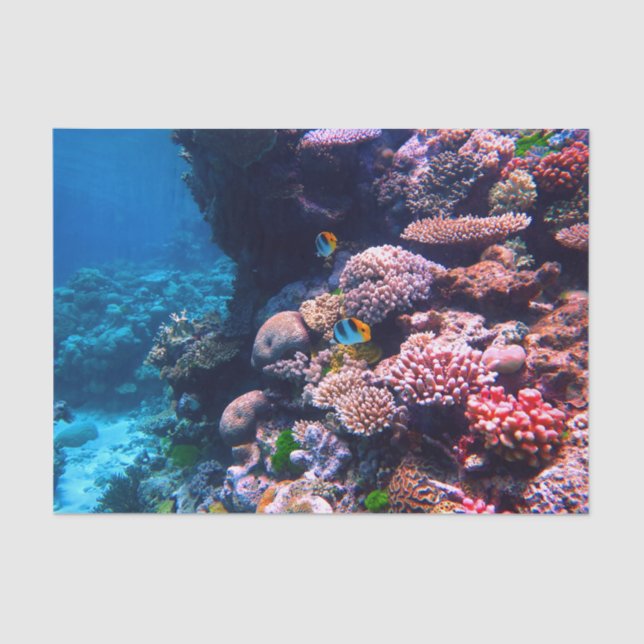 Colorful Tropical Coral Reef Tissue Paper (Front)
