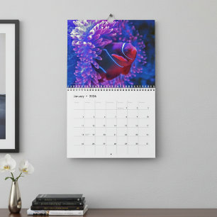 Colorful Tropical Fish 2027 Underwater Paradise Calendar