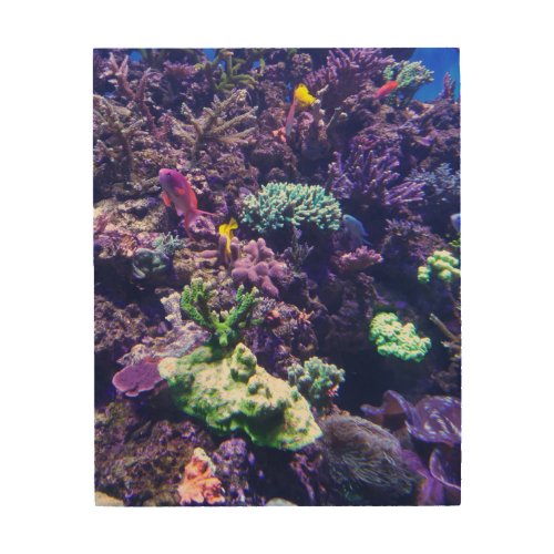 Colorful Tropical Fish Coral Reef Wood Wall Art