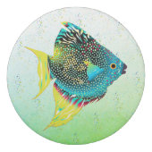 Colorful Tropical Fish Eraser (Front)