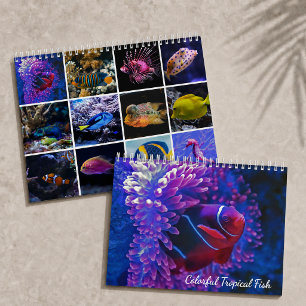 Colorful Tropical Fish Underwater Paradise 2027 Calendar