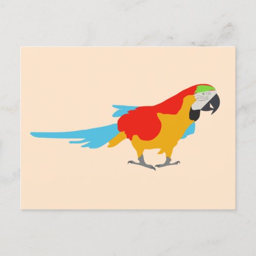Colorful Tropical Macaw  Holiday Postcard
