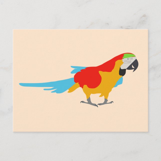 Colorful Tropical Macaw  Holiday Postcard (Front)