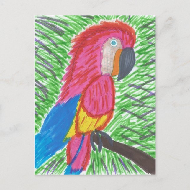 Colorful Tropical Macaw Postcard (Front)