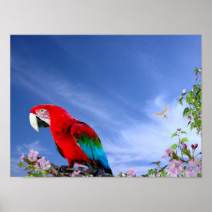 Colorful Tropical Parrot Poster