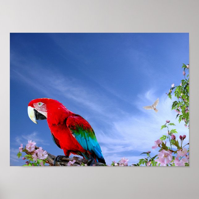 Colorful Tropical Parrot Poster (Front)