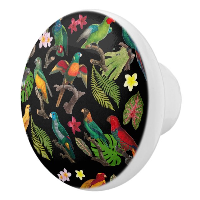 Colorful Tropical Parrots, Leaves & Flowers  Ceramic Knob (Right)