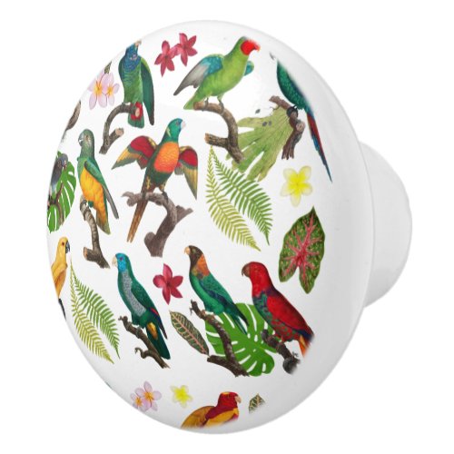 Colorful Tropical Parrots Leaves  Flowers  Ceramic Knob