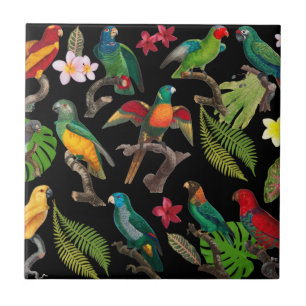 Colorful Tropical Parrots, Leaves & Flowers Ceramic Tile